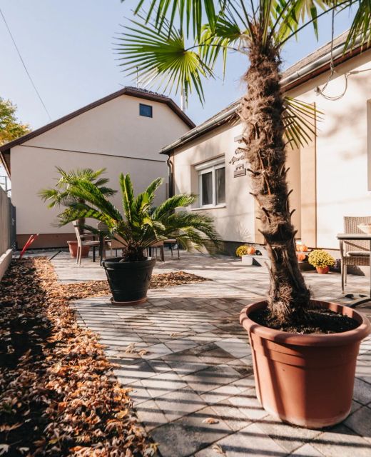 Oliver Apartman Makó