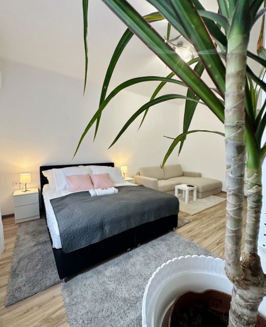 Mate Gold Apartment I. Szeged