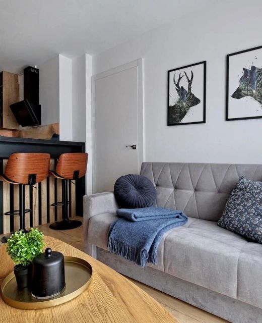 Małe Żywczańskie SPA Apartament 19