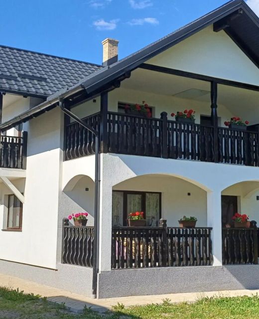 Casa Elena Botuș
