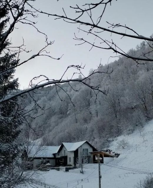 Vibe House Madisson Poiana Mărului 