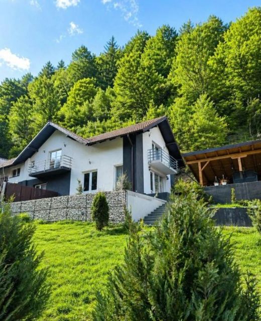Vibe House Madisson Poiana Mărului