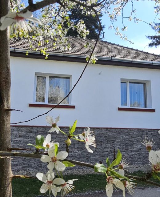 Patakvölgyi Vendégház Kemence