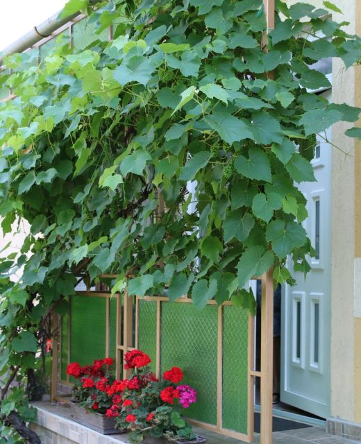 Hajnalka Apartmanház Gyula