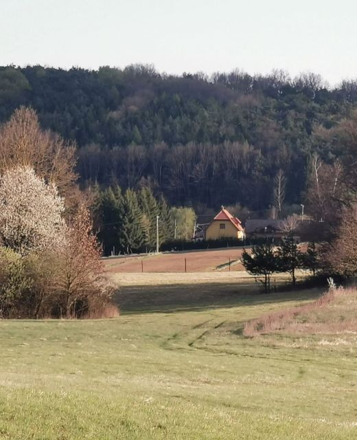 Lugosvölgyi Vendégház Kondorfa