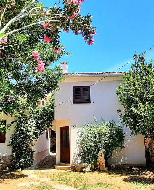 House Suzi Novalja