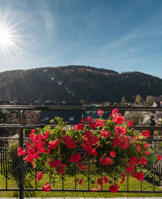 Dom na Zielonym Wzgórzu Szczawnica