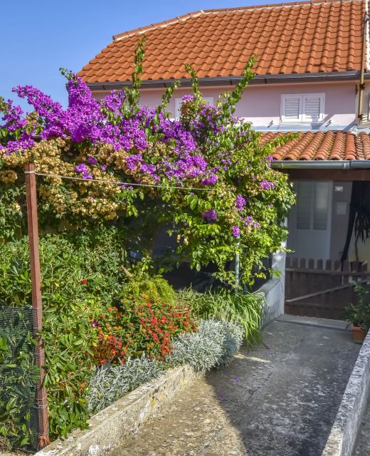 House Panula Mali Iz