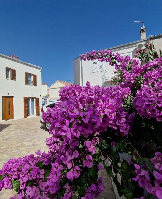House Miamare Primosten