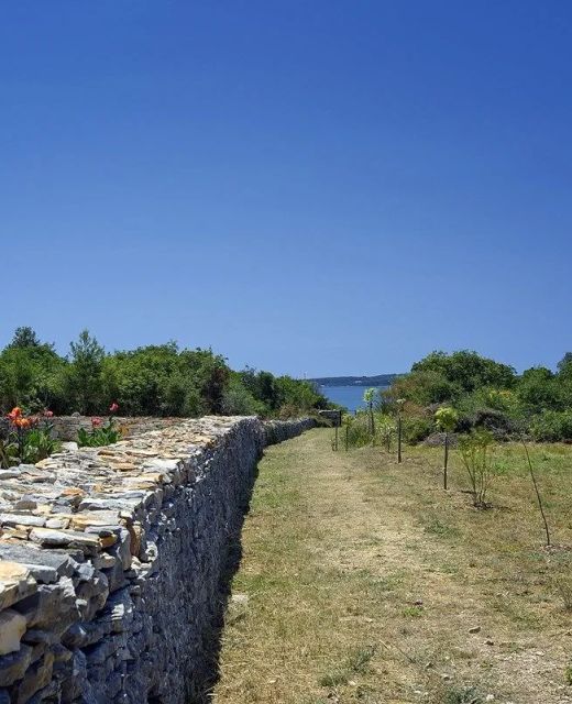 Villa Emily Peroj