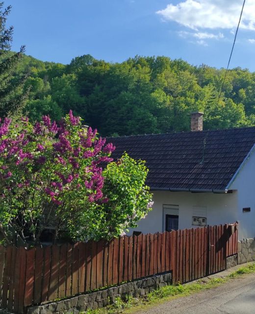 Mókusles Vendégház Háromhuta