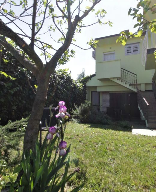 Apartment SEA STAR Umag