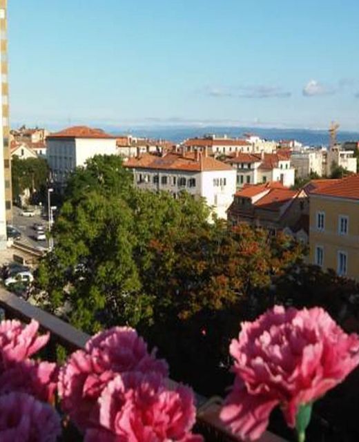 Apartment Royal view Split