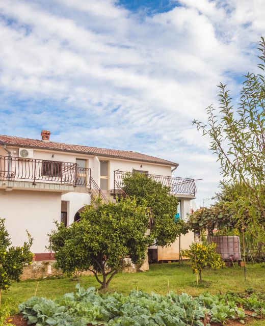 Apartments and Room LUCIANA Savudrija Zambratija