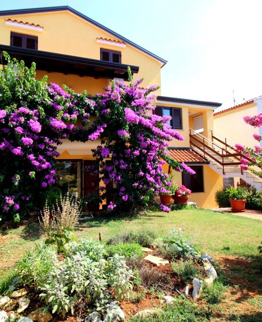 Apartments Tancel Porec