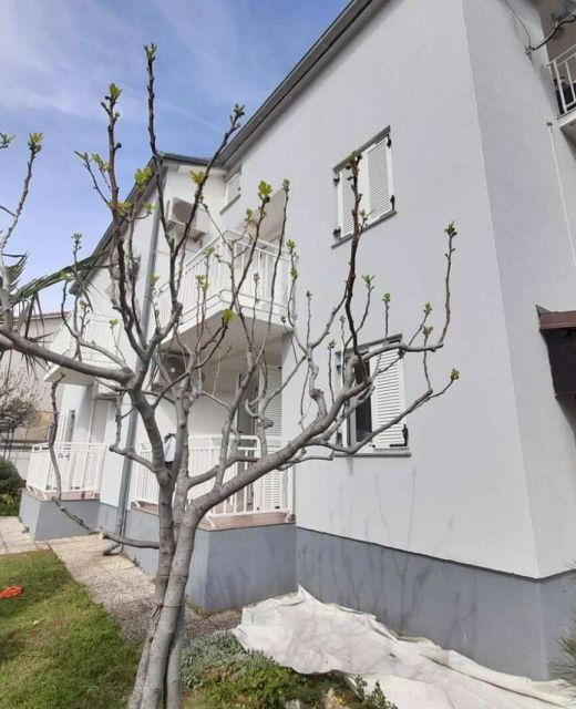 Apartments With Parking Space Njivice, Krk - 21773 Njivice