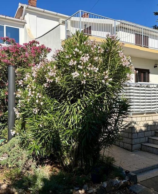 Apartments By The Sea Barbat, Rab - 22423 Barbat