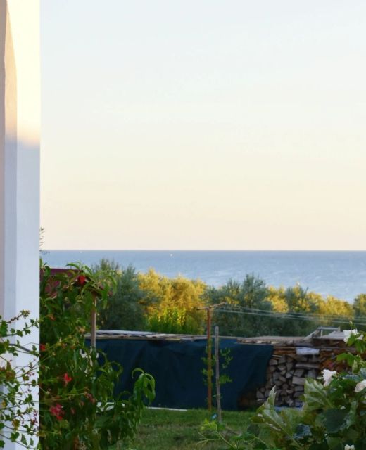 Apartments And Rooms With Parking Space Zambratija, Umag - 22512 Zambratija