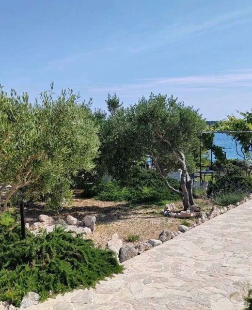 Apartments By The Sea Barbat, Rab - 22561 Barbat