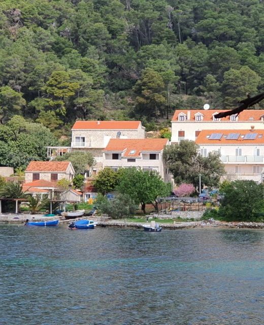 Apartmani Pjevalo Mljet