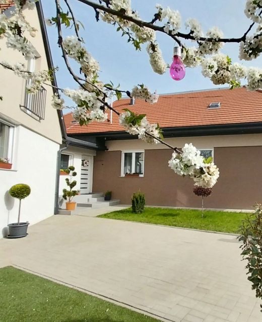 Cseresznyefa Vendégház Dorog