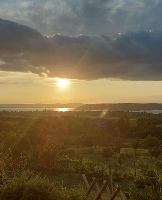 Víztükör Vendégház Zamárdi