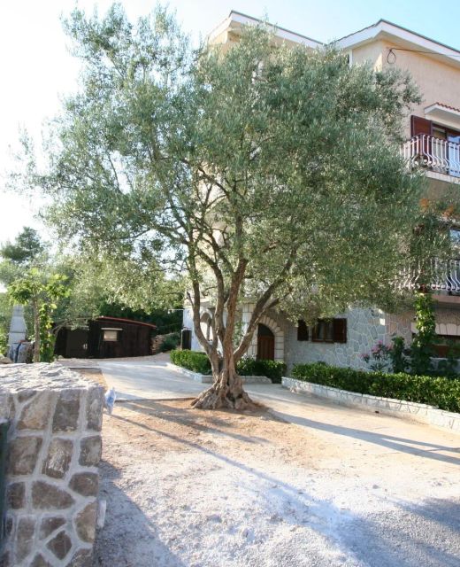Apartments Vrban Silo