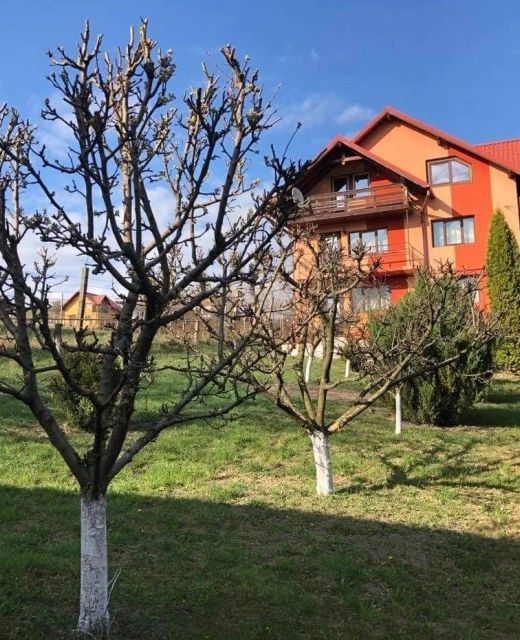 Casa Cristina Gura Humorului