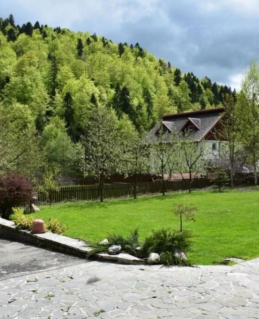 Casa Edelweiss Sinaia