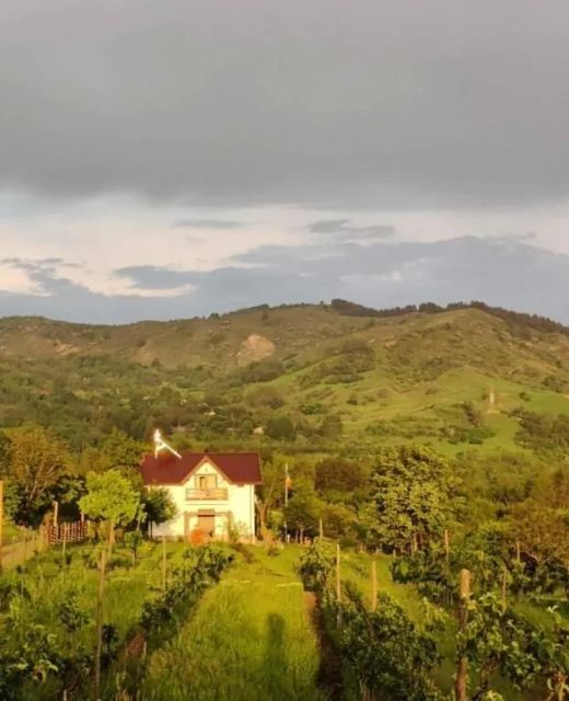 Deleni Retreat - Casa Sitaru