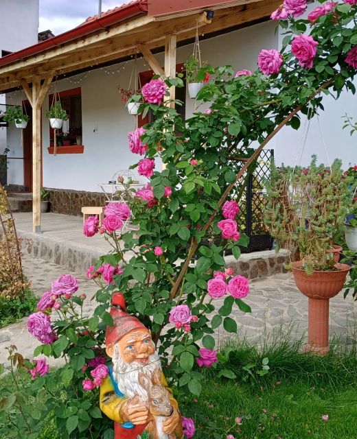 Casa de oaspeți Tiny Mara Râmnicu Vâlcea