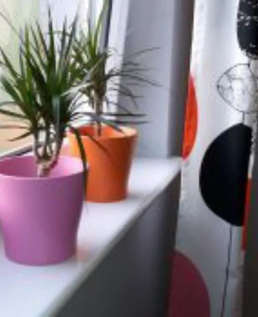 Apartamenty Sedinum - Brama Portowa