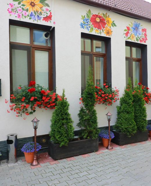 Flowers House Sibiu
