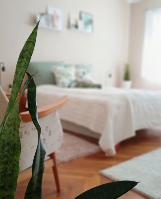 Tulipán Apartman Békéscsaba
