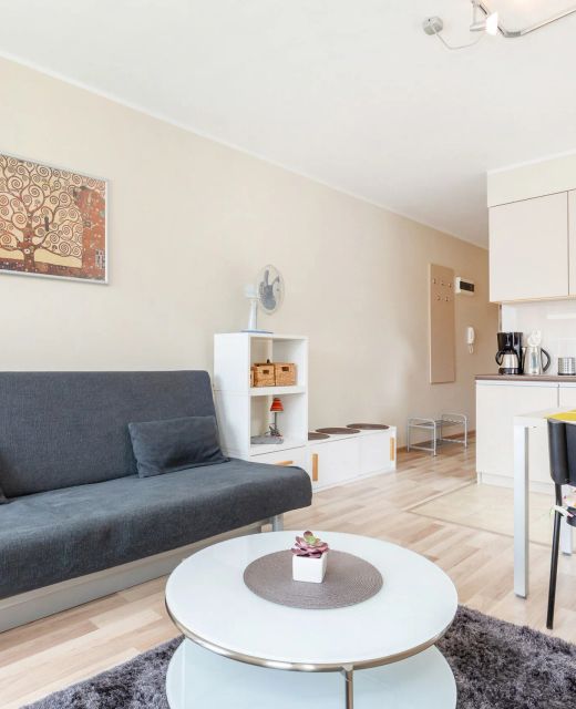 Feniks 29