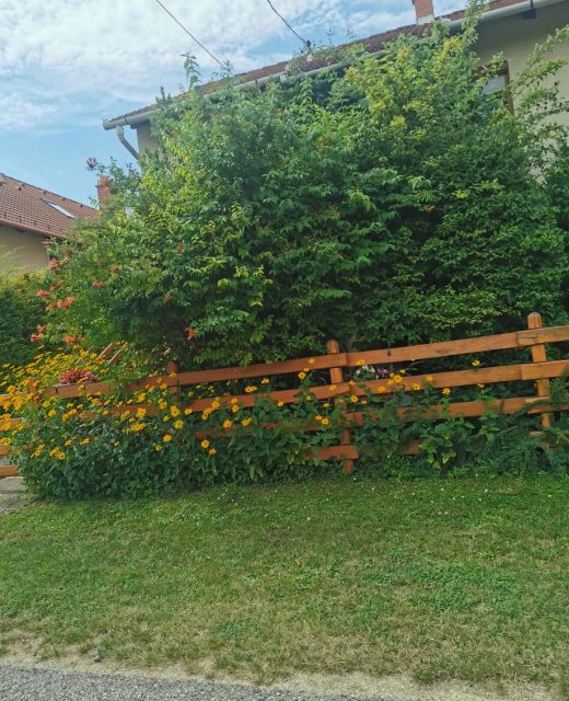 Balatoni Fészek Apartman Balatonalmádi