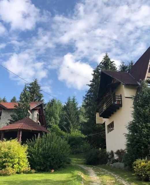 Villa Rareș Borșa