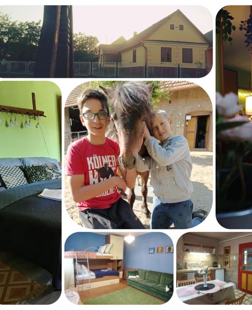 Póni Kuckó Vendégház és Minifarm Hosszúvölgy