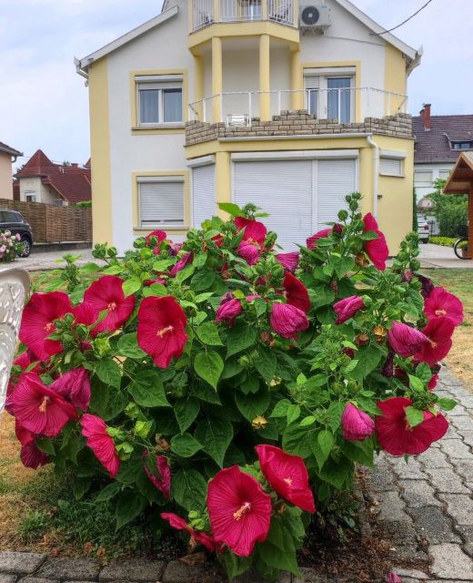 Villa Vanília Keszthely