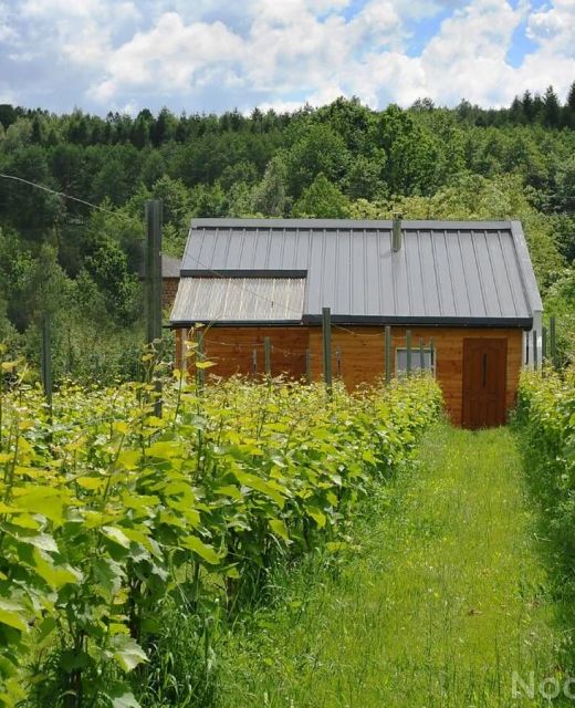 Agroturystyka i Winnica Granice Zgłobień, Rzeszów