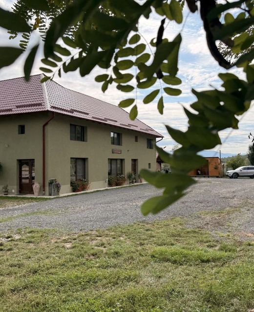 Casa David 13D Nimăiești