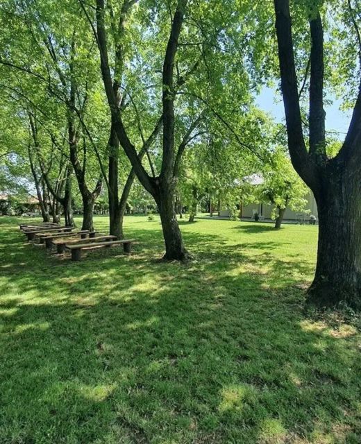 Liget Üdülőpark Fonyód