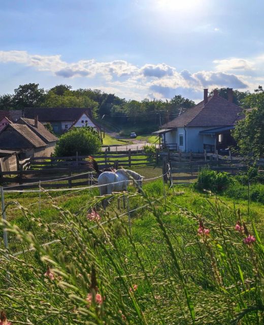 Ambrus Vendégház Izmény