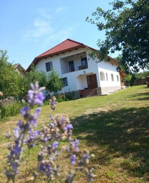 Casa Lavinia Crasna 