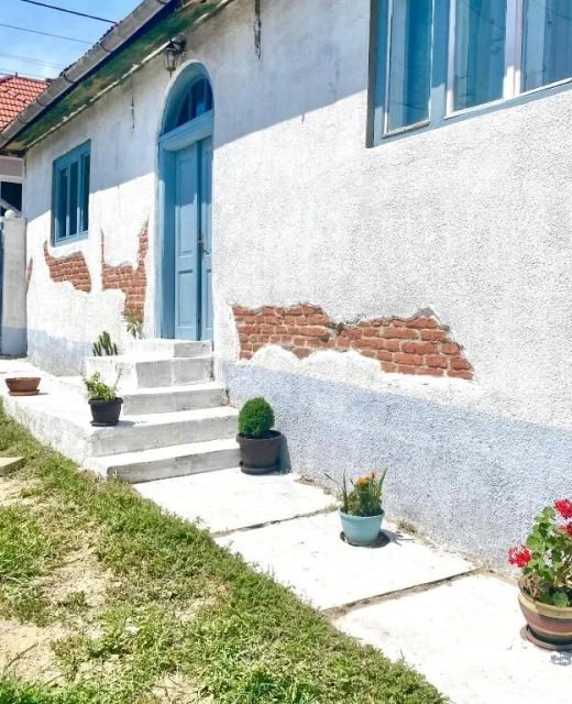 Blue Cottage Șpring