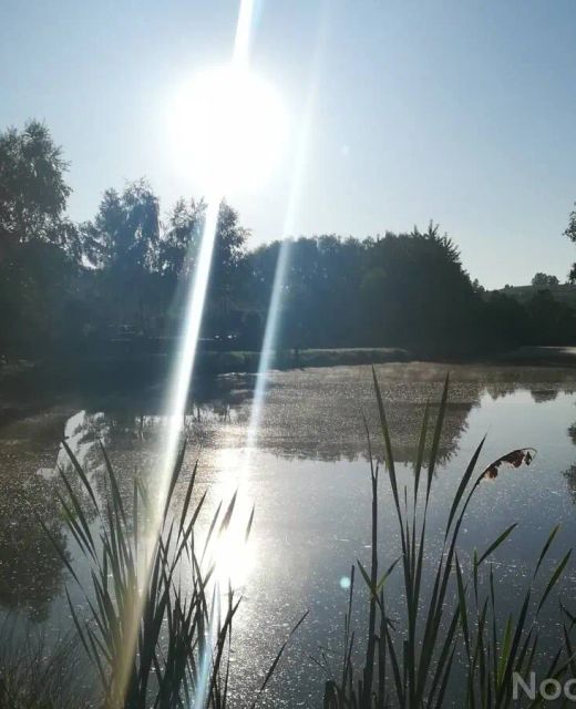 Pokoje Na Stawach Stryszów