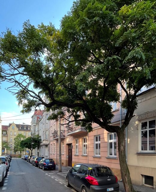 Apartament Długosza 3 Bydgoszcz