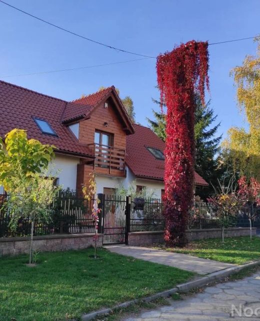 Apartament Studio Centrum Giżycko