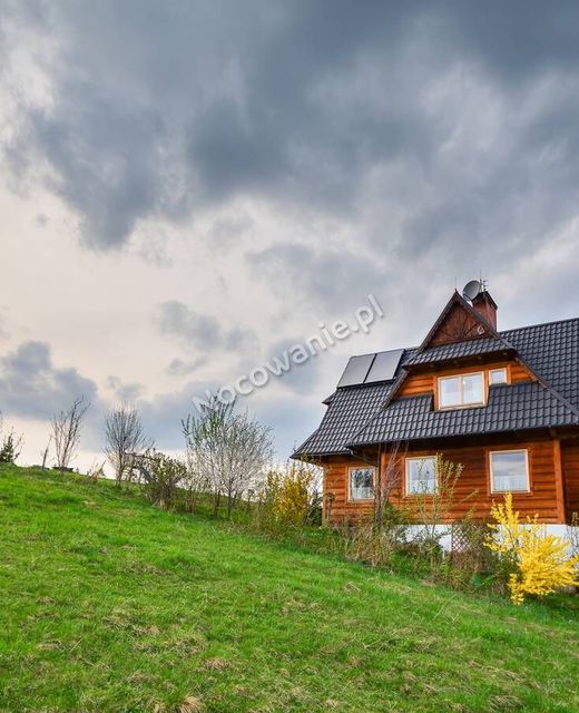 Apartamenty Witów