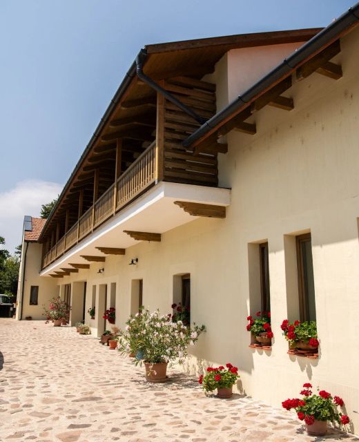 Tokaji Dűlő Vendégház Tokaj